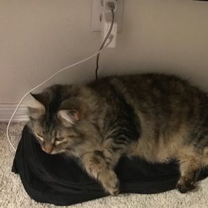 Meet your Posher, Madison